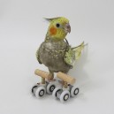 Gioco Bird Mini Roller Skates (2 Pz) Per Pappagallini Cm 4X2