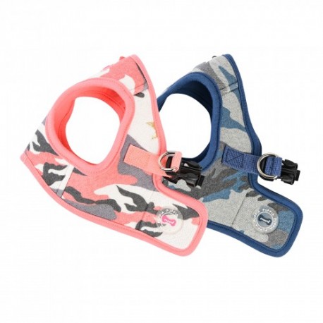 Pettorina Ensign Harness B