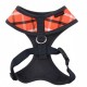 Pettorina Baxter Harness A