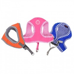 Pettorina NAUNET HARNESS Q