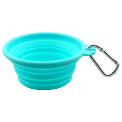 Ciotola Collapsible Travel Bowl Teal