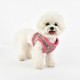 Pettorina AUDEN HARNESS B