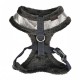 Pettorina EVON HARNESS
