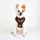 Pettorina PRANCER HARNESS A