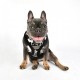 Pettorina PRANCER HARNESS A