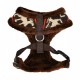 Pettorina PRANCER HARNESS A