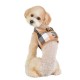 Pettorina Puppia QUINN HARNESS B