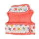 Pettorina Pinkaholic HOPPER PINKA HARNESS
