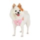 Pettorina Pinkaholic LANA HARNESS