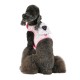 Pettorina Pinkaholic LANA PINKA HARNESS