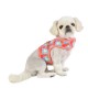 Pettorina Pinkaholic VIVICA PINKA HARNESS