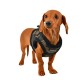 Pettorina Colonel Harness B