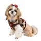 Pettorina JOLLY Harness B