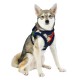 Pettorina JOLLY Harness B