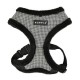 Pettorina PUPPYTOOTH Harness A