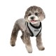 Pettorina PUPPYTOOTH Harness A