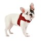 Pettorina PUPPYTOOTH Harness X