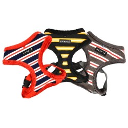 Pettorina Rowdy Harness A