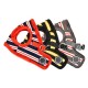 Pettorina Rowdy Harness B