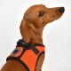 Pettorina SOFT VEST HARNESS B II