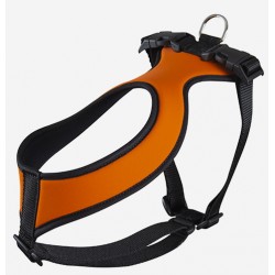 Pettorina Serpa Arancio