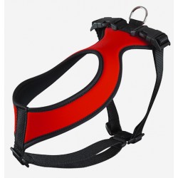 Pettorina Serpa Rosso