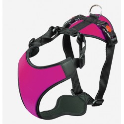 Pettorina Hanatomika Bulldog Francese