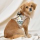 Pettorina Puppia BOTANICAL HARNESS B