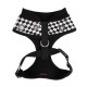 Pettorina Racer Harness A