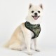 Pettorina Puppia SENTINEL HARNESS A