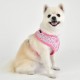 Pettorina WILDFLOWER HARNESS A