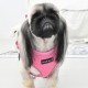Pettorina SOFT HARNESS PRO