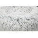 Cuccia Harvey