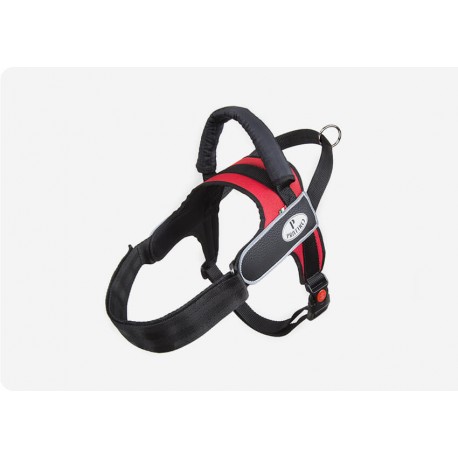 Pettorina Active Alaska Rosso