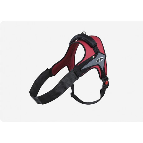 Pettorina Active Alaska Rosso banda reflex