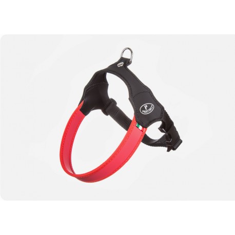 Pettorina Easy Way Daily Rosso/Nero