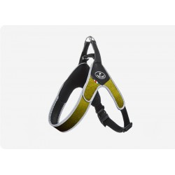 Pettorina Easy Way Regolabile Velluto Verde Bordo reflex