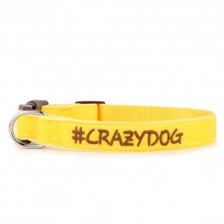 CrazyDog