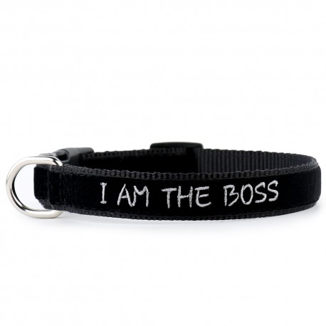 I am the Boss – velluto
