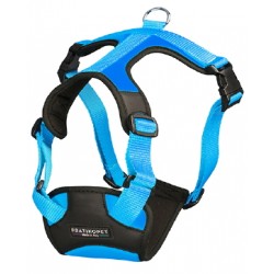 Pettorina Comfort Energy Azzurro