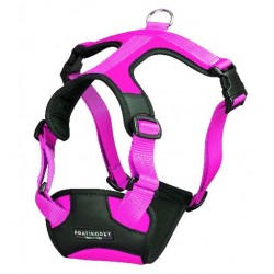 Pettorina Comfort Energy Rosa