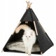 Igloo Tipi