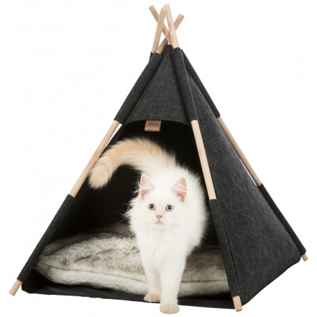 Igloo Tipi