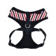 Pettorina Puppia Seaman Harness A