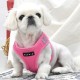 Pettorina SOFT VEST HARNESS PRO