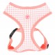 Pettorina Alaia Harness
