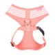 Pettorina Alaia Harness