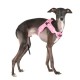 Pettorina SOFT HARNESS X