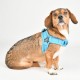 Pettorina SOFT HARNESS X