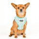 PETTORINA PUPPIA ARDEN HARNESS A